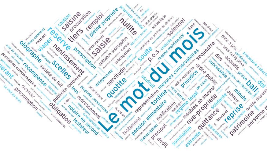 Le mot du mois : la licitation