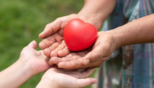 Clauses particulières dans les actes de donation : demandez une rédaction sur mesure !